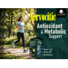 NERVOCITIC DIETARY SUPPLEMENT 30 FILM-COATED TABLETS